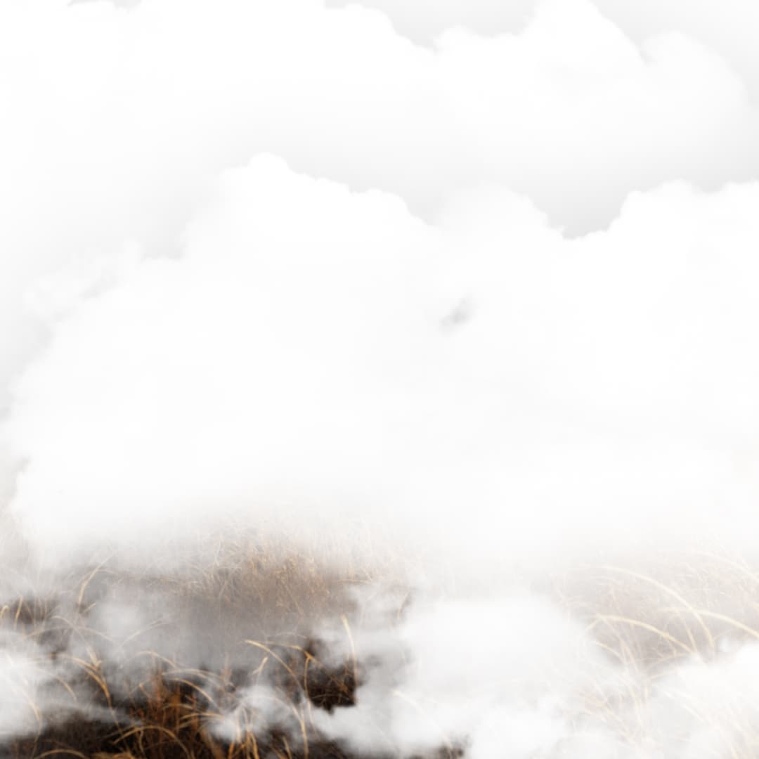 Carbon Capture in cement